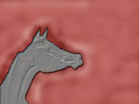 Al concorso nazionale PSA di Castel di Sangro