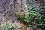 Trekking alla scoperta delle bellezze naturali del Sannio Trekking alla scoperta delle bellezze naturali del Sannio