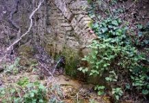 Trekking alla scoperta delle bellezze naturali del Sannio