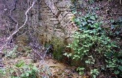 Trekking alla scoperta delle bellezze naturali del Sannio