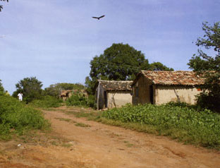 Il Villaggio