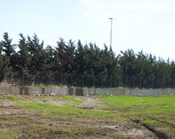 «Via il commissario, nuovo cda» Serra Pastore