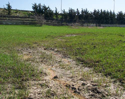 In Parlamento la questione della discarica Fuoriuscita di percolato dalla discarica prima che fosse incanalato.