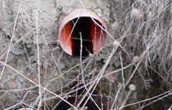 Serra Pastore, correlazione tra rifiuti e rischi sanitari Percolato a Serra Pastore