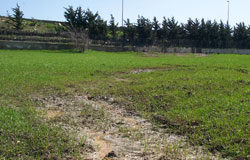 Discarica, la bonifica non arriva Fuoriuscita di percolato dalla discarica