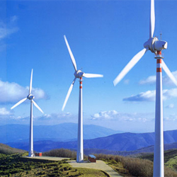Pali Eolici
