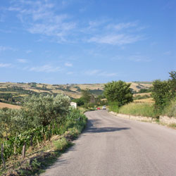 ViabilitÃ 
