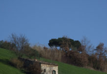 Disagi nel Fortore, la proposta di Isidea: rilanciare il progetto della ferrovia Il nostro territorio