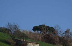 Disagi nel Fortore, la proposta di Isidea: rilanciare il progetto della ferrovia Il nostro territorio