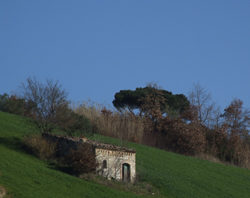 Disagi nel Fortore, la proposta di Isidea: rilanciare il progetto della ferrovia Il nostro territorio