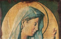 Celebrata dai Carabinieri la festa della Virgo Fidelis, Patrona dellArma la Virgo Fidelis