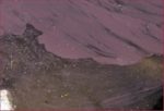 Un’Alga rossastra nella Diga di Occhito Planktorhrix rubescens