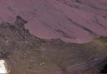 Un’Alga rossastra nella Diga di Occhito Planktorhrix rubescens