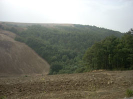 I Care e Scuola e Ambiente, iniziative in corso allIstituto comprensivo Bosco Montauro