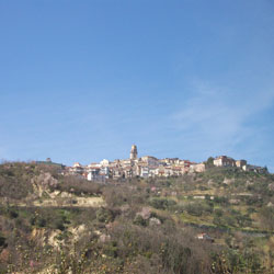 Panorama