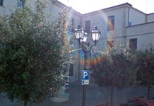 Vigilanza ambientale, il 9 novembre inizia il corso