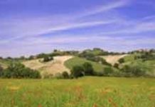 Nasce il ”Città di San Bartolomeo in Galdo – Centro Commerciale Naturale”