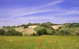 Nasce il ”Città di San Bartolomeo in Galdo – Centro Commerciale Naturale”