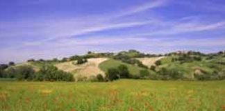 Nasce il ”Città di San Bartolomeo in Galdo – Centro Commerciale Naturale”