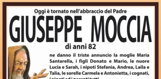 Giuseppe Moccia