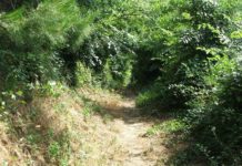 Le ruelle a San Bartolomeo in Galdo