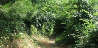 Le ruelle a San Bartolomeo in Galdo