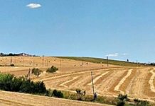 La Regione finanzia i Centri Commerciali Naturali del Sannio. La soddisfazione di ConfCommercio