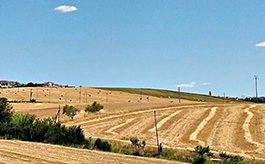 La Regione finanzia i Centri Commerciali Naturali del Sannio. La soddisfazione di ConfCommercio