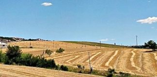 La Regione finanzia i Centri Commerciali Naturali del Sannio. La soddisfazione di ConfCommercio