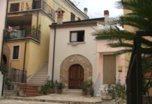 Giardinaggio pensile e domestico a San Bartolomeo in Galdo