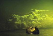 Le vacanze di Arturo