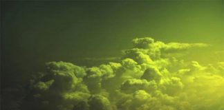 Le vacanze di Arturo