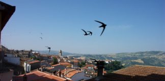 Poche le richieste per accedere al telesoccorso