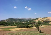 Bimba investita da autobus, l’intero paese in apprensione per le sorti della piccola