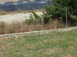 Serra Pastore, ultimata la gara per la bonifica della discarica