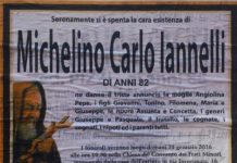 Michelino Carlo Iannelli