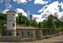 Marco e Billi di Vincenzo Palazzo