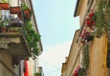 Infiorata di S. Bartolomeo, tutte le curiosità a Ottomattina