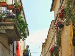 Infiorata di S. Bartolomeo, tutte le curiosità a Ottomattina