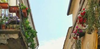 Infiorata di S. Bartolomeo, tutte le curiosità a Ottomattina