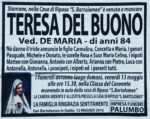 Teresa Del Buono Teresa Del Buono