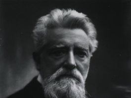 Vota Leonardo, vota Leonardo