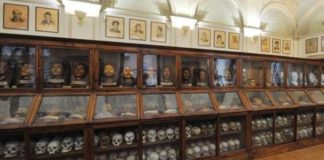 Il Comitato No Lombroso: «150 città contro il Museo di Antropologia criminale»
