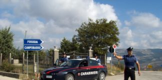 “Alto impatto” carabinieri in azione: effettuati anche due arresti