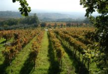 Psr Campania: territorio rurale e nuova programmazione un incontro a San Bartolomeo in Galdo