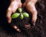 Campania: al via “Agricoltura 2.0”, progetto a sostegno del territorio Campania: al via “Agricoltura 2.0”, progetto a sostegno del territorio