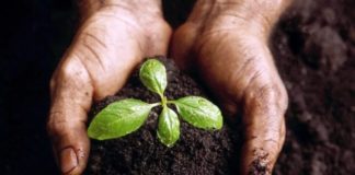 Campania: al via “Agricoltura 2.0”, progetto a sostegno del territorio