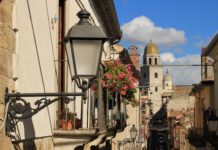 Cos’è il bello? (Adotta un geranio)