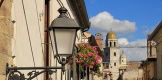 Cos’è il bello? (Adotta un geranio)