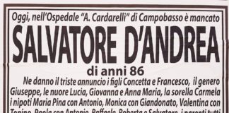 Salvatore D’Andrea